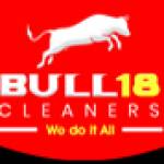 Bull18 Cleaners