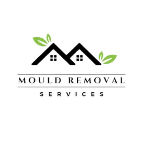 Mould Removal Services