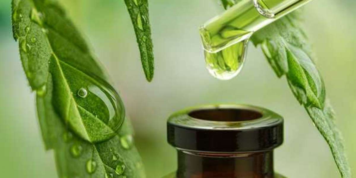 People Should Be Aware Of The Benefits Of Hemp Oil