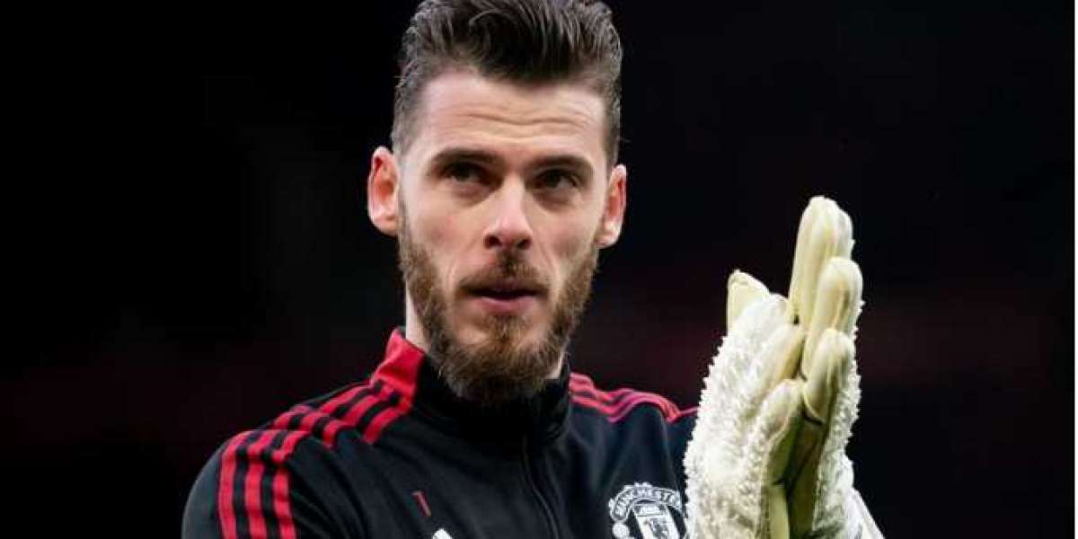 Retiring Manchester United player describes David de Gea as the "greatest goalkeeper in the world."