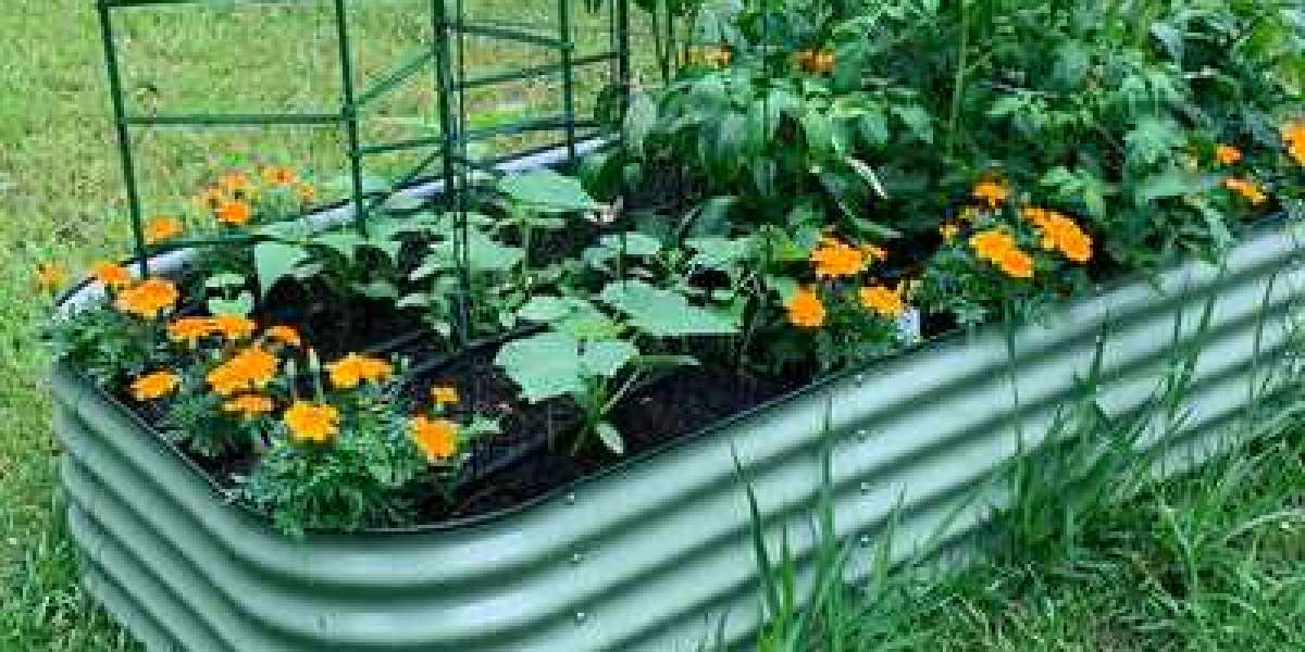 Vego Garden Is Here To Introduce Its DIY Planter Beds For Incredibly Healthy Gardening!