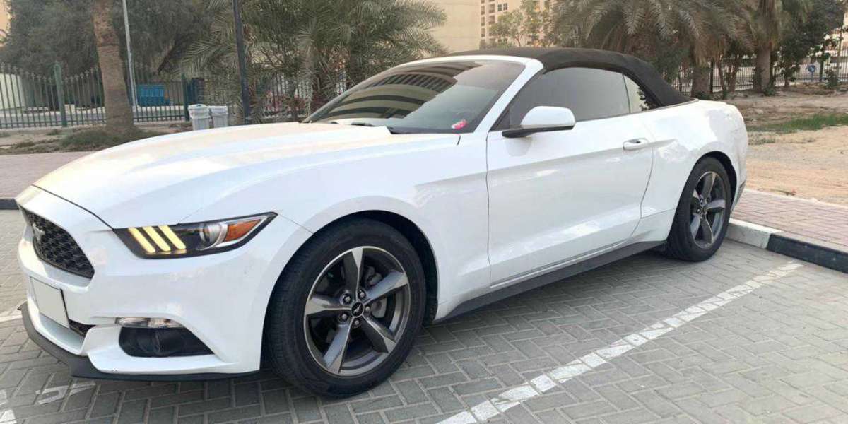 Why Should You Pick Mustang Rental In Dubai?