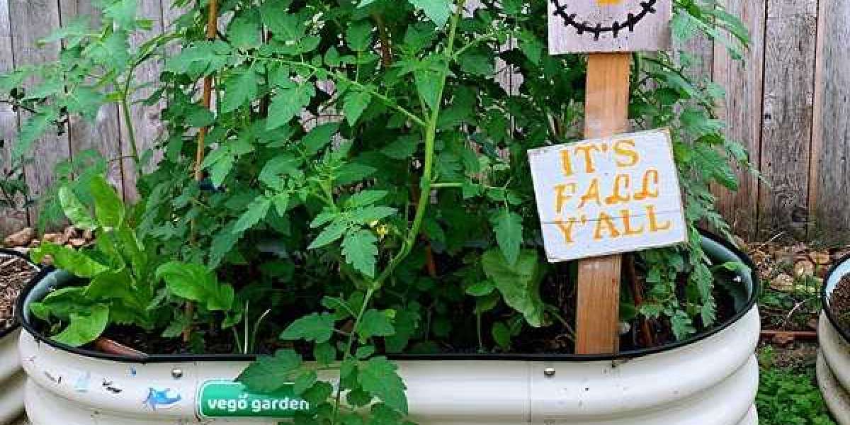 Some Quick and Budget-Friendly Ideas to Beautify Your Garden