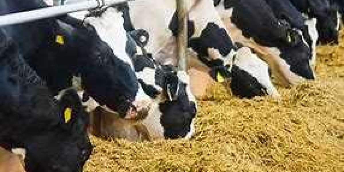 Global Animal Feed Market has estimated to grow with CAGR of 2.90% in 2027