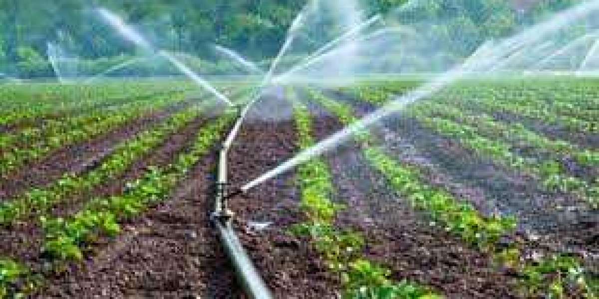 Global Micro Irrigation Systems Market Is Expected To Grow With The CAGR Of More Than 9% By 2027.