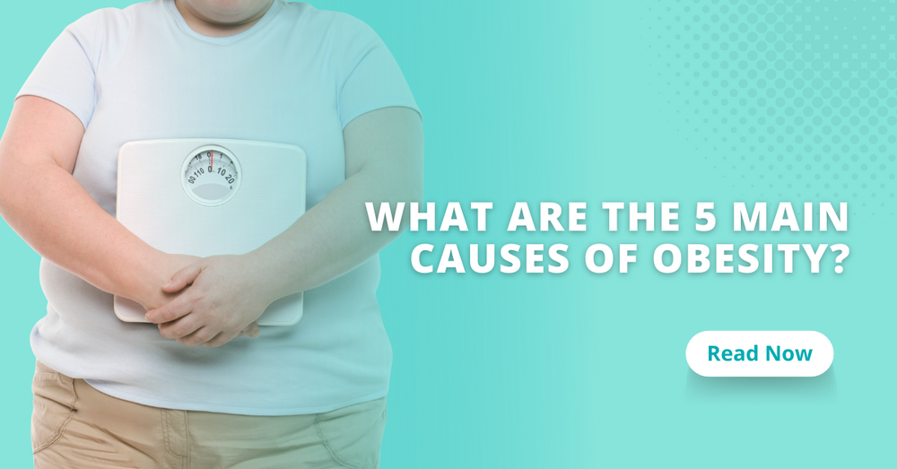 What Are The 5 Main Causes of Obesity?