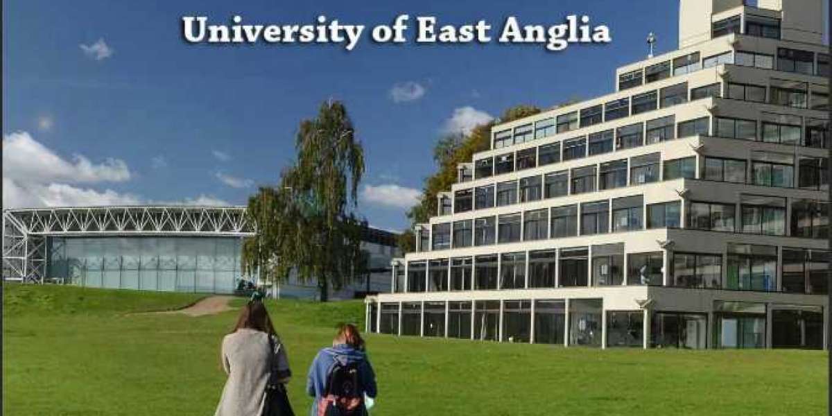Scholarship at the University of East Anglia in 2023 (Application Process)
