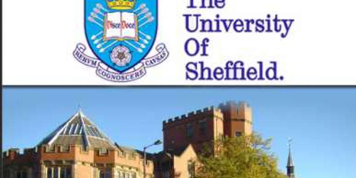 Masters Scholarships from the Allan & Nesta Ferguson Charitable Trust in 2023 | University of Sheffield.