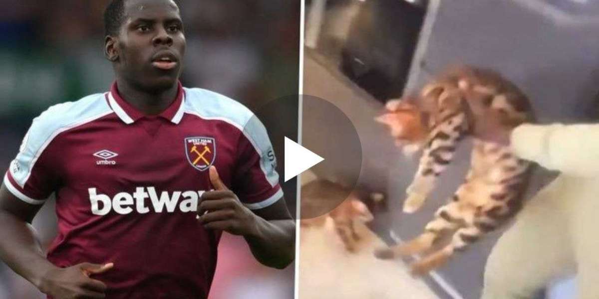 VIDEO: Kurt Zouma appears for cat abuse trial in an unusual manner