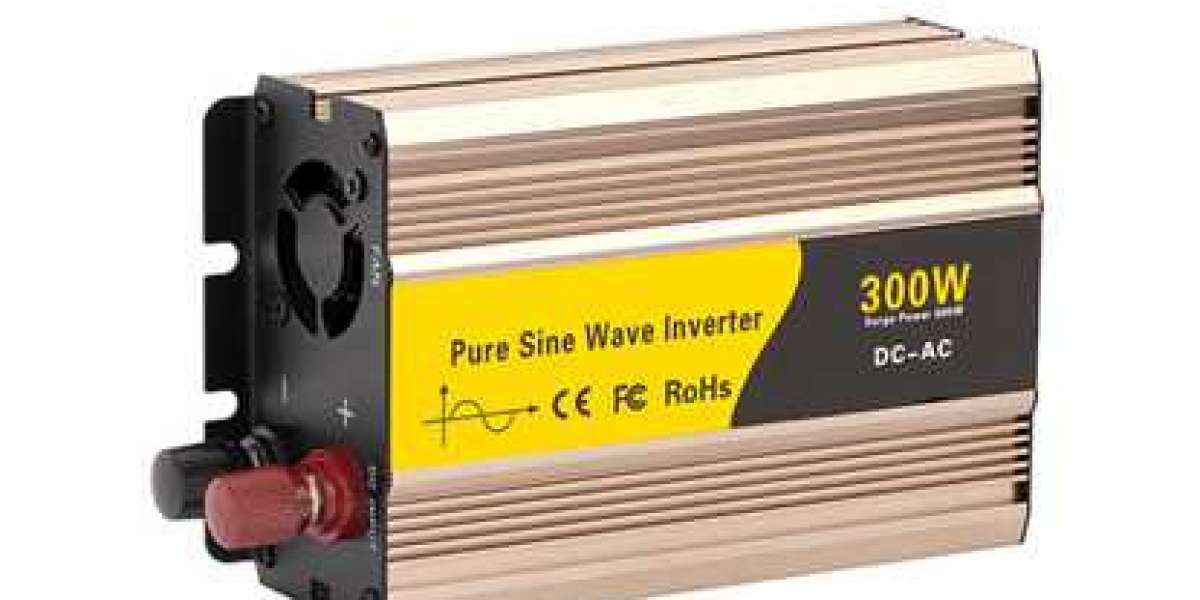 A 3000 watt inverter that can also convert voltage from DC to AC.