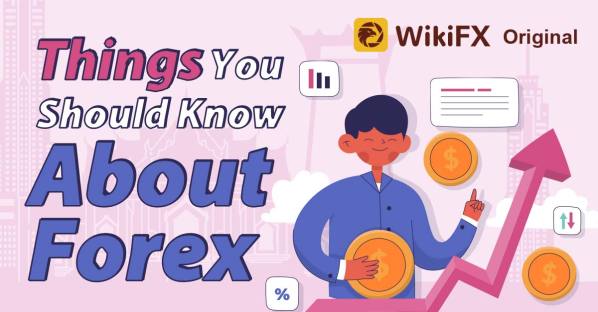For Beginners: Things You Should Know About Forex - Wikifx