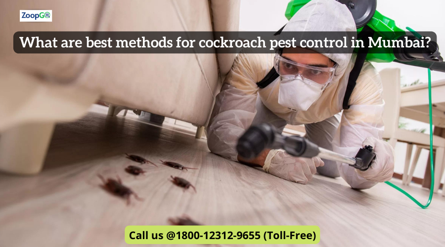 What are the best methods for cockroach pest control in Mumbai? | by Jenny Kashyap | Jul, 2022 | Medium