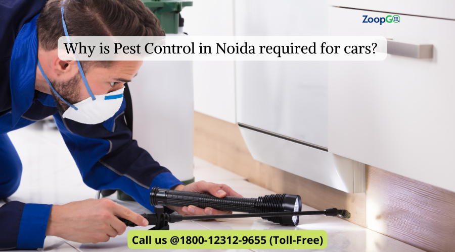 Why is Pest Control in Noida required for cars? | by Jenny Kashyap | Jul, 2022 | Medium