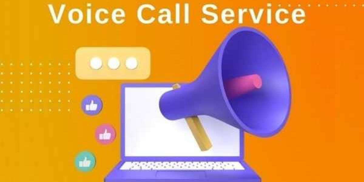 What is bulk voice call service?