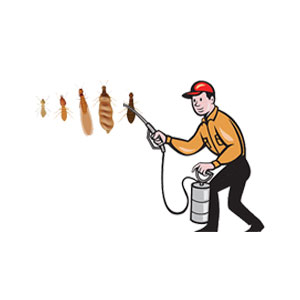 Termite Pest Control in Noida | Anti Termite Control