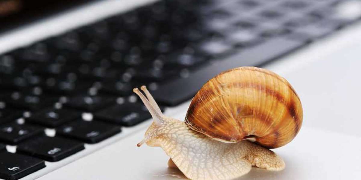 What Are the Top 5 Causes of Slow Website Performance?