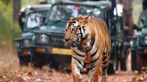 Jim Corbett National Park