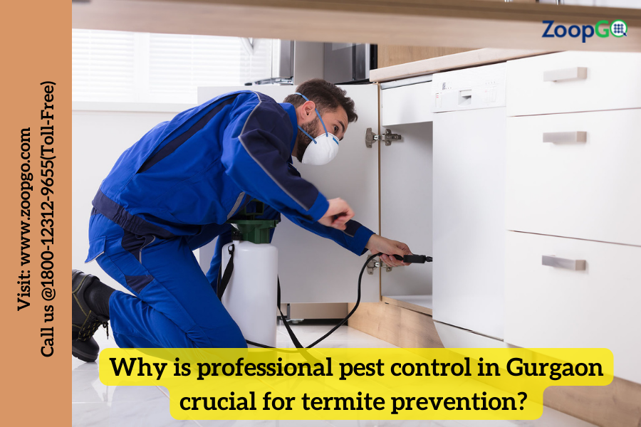 Why is professional pest control in Gurgaon crucial for termite prevention? | by Jenny Kashyap | Aug, 2022 | Medium