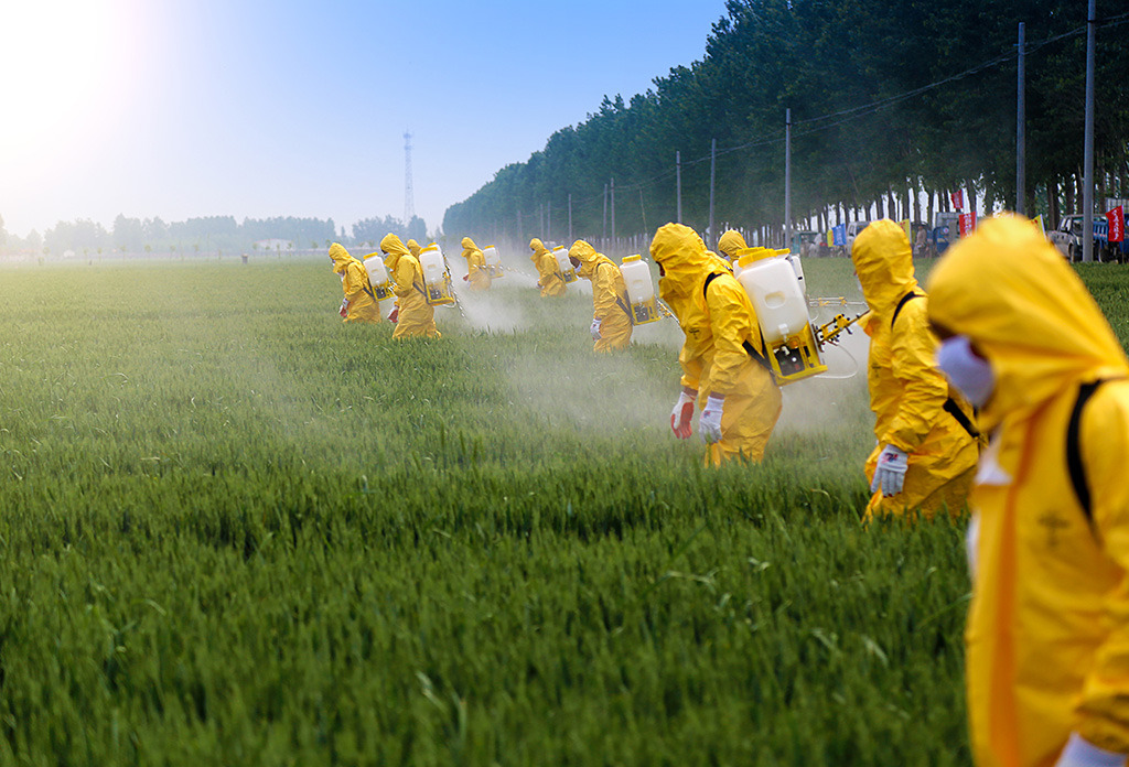 Shree Ram Fertilizer — Use Shreeram Pesticides for your Organic Farm in...
