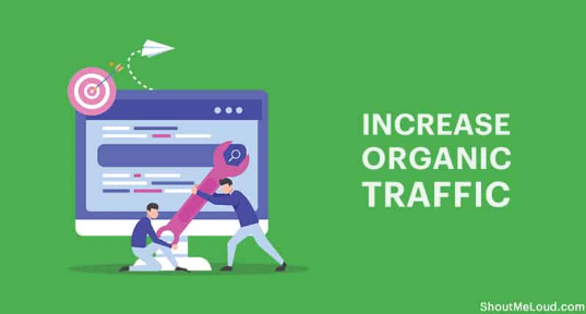 7 Easy Steps You Can Take Right Away To Boost Organic Traffic To Your Blog (Expert Picks) - 2022 - Mlmlegit