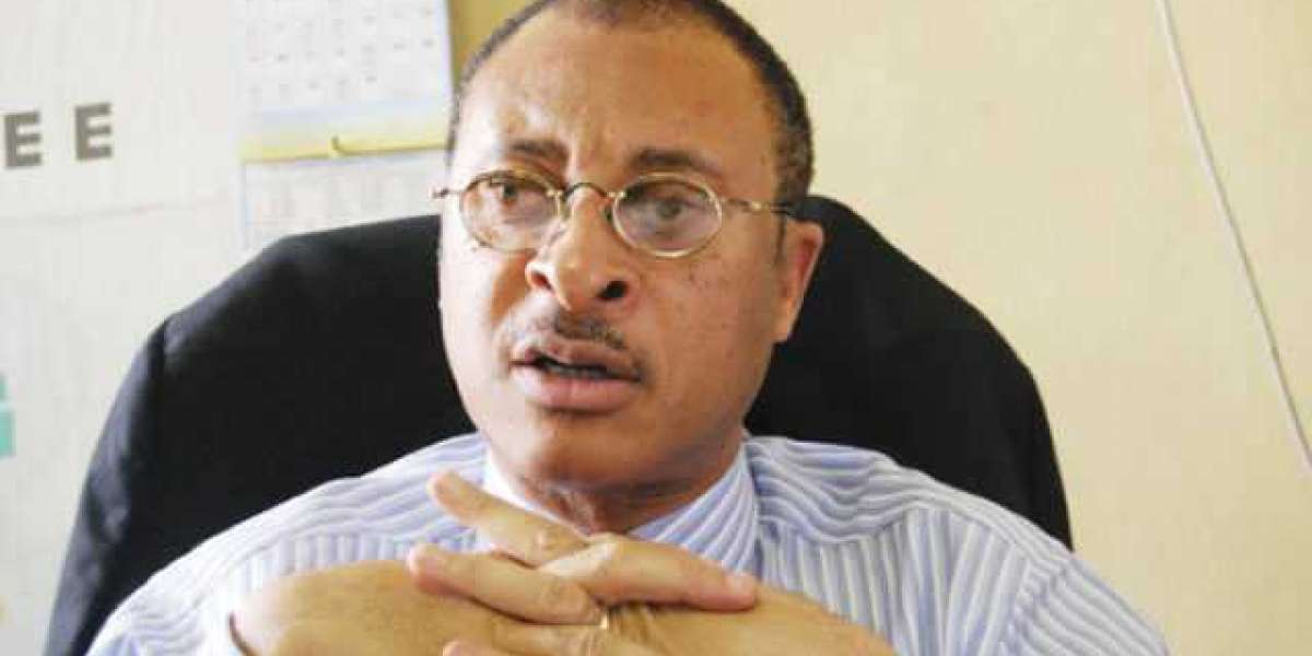 Utomi criticizes INEC over the cancellation of voting registration and claims disenfranchisement.