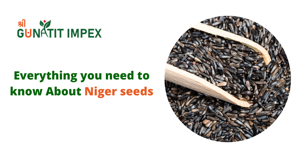 Everything you need to know About Niger seeds | by Shree Gunatit Impex | Aug, 2022 | Medium