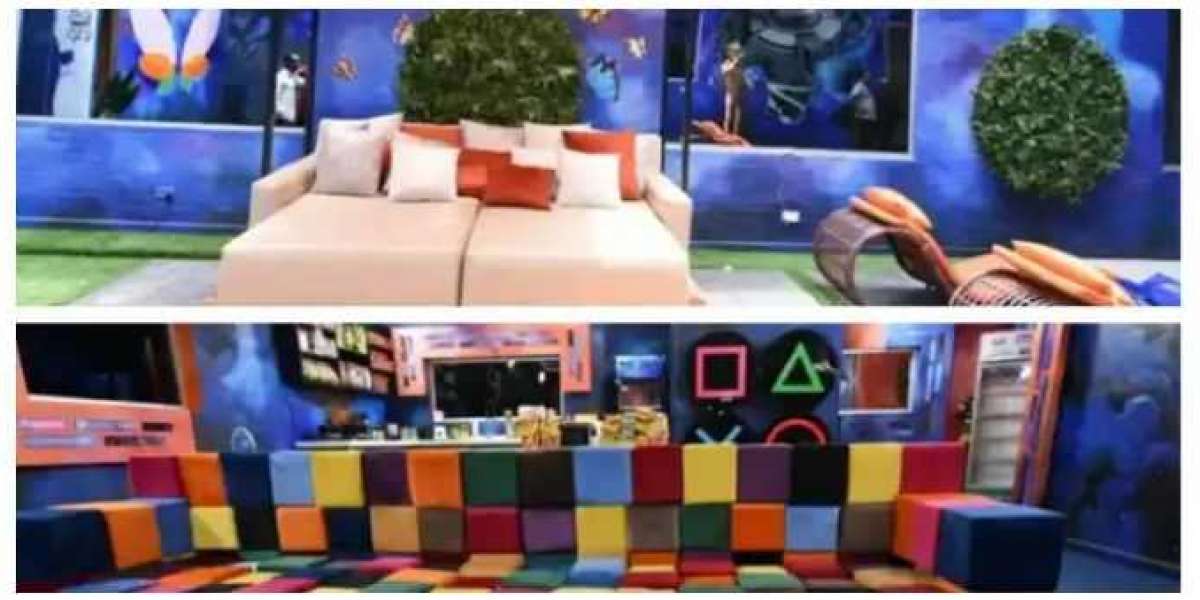 BBNaija: Here is why this season has 2 houses [Pulse Explainer]