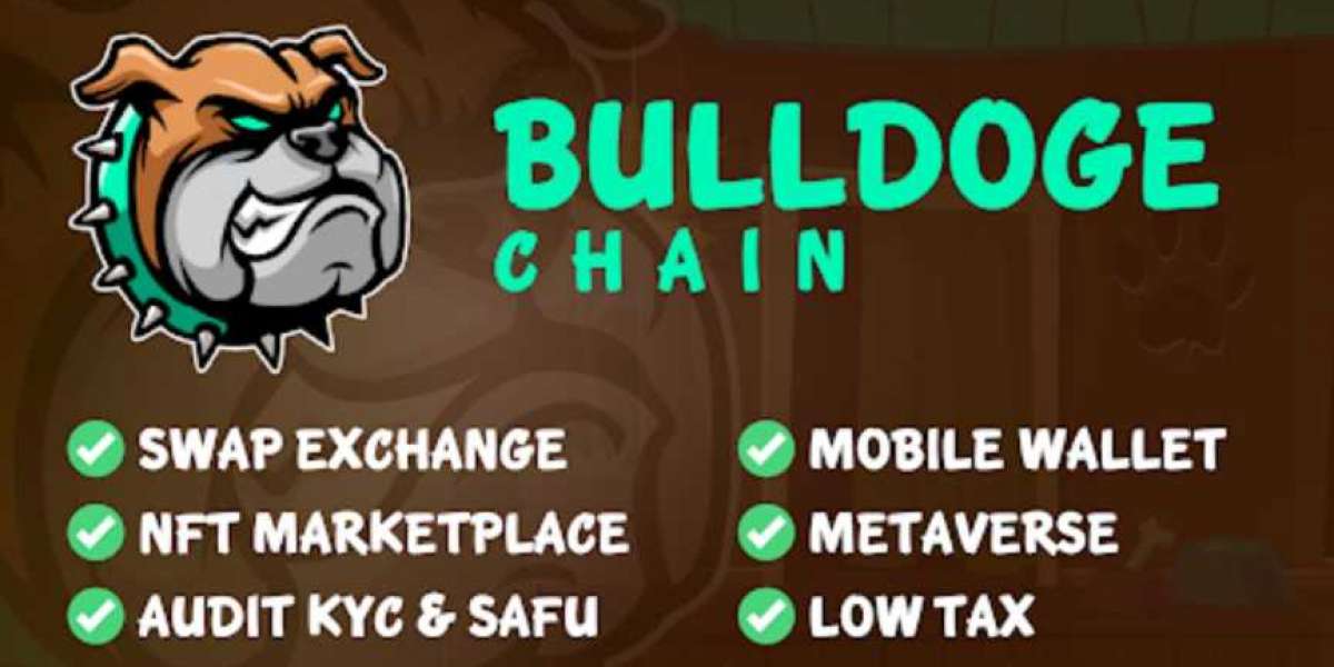 BullDogeChain's 's Unparalleled Platform Caters To The Crypto Industry's Future