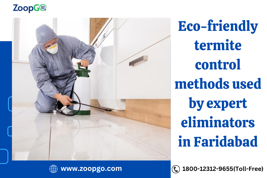 Eco-friendly termite control methods used by expert eliminators in Faridabad