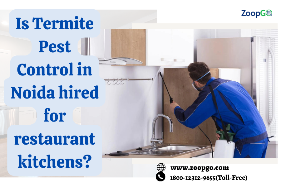 Is Termite Pest Control in Noida hired for restaurant kitchens?