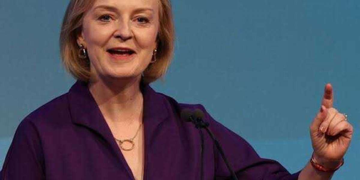Liz Truss promised to solve the energy crisis.