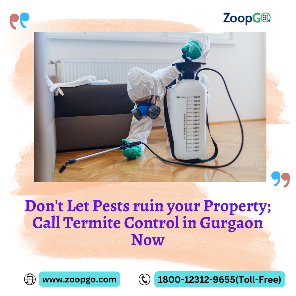 Don’t Let Pests ruin your Property; Call Termite Control in Gurgaon Now | by Jenny Kashyap | Sep, 2022 | Medium