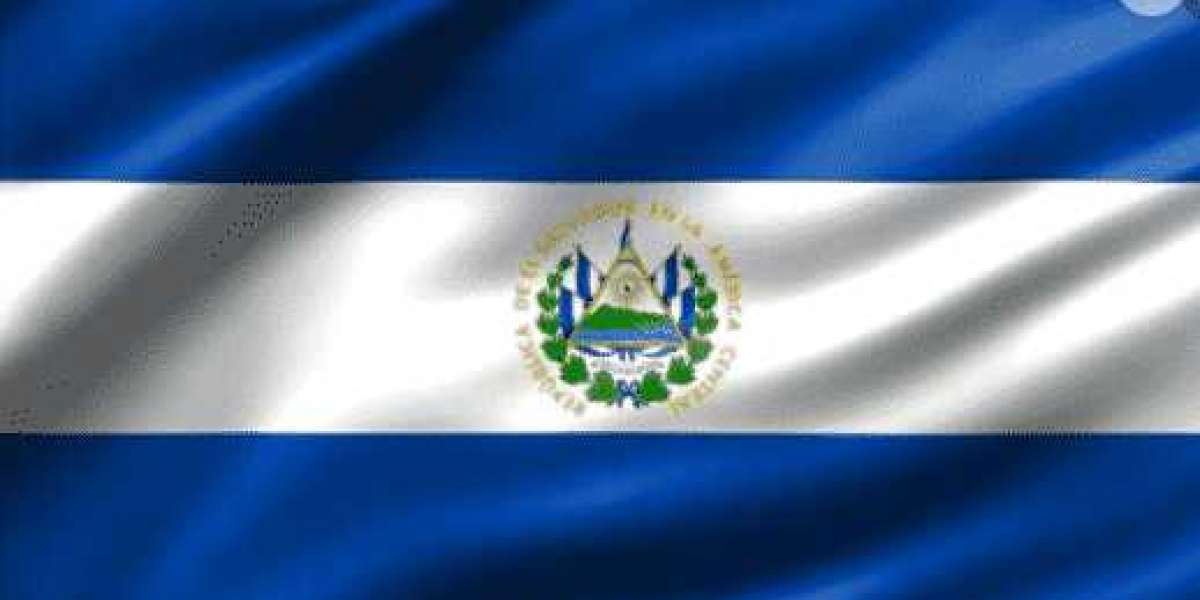 Mayorga El Salvador's ambassador praises Bitcoin.
