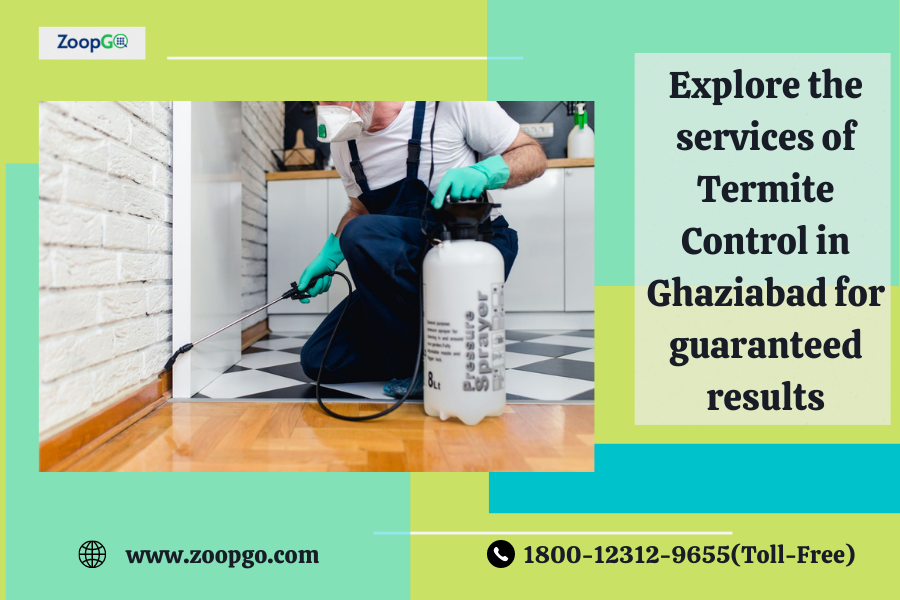 Explore the services of Termite Control in Ghaziabad for guaranteed result