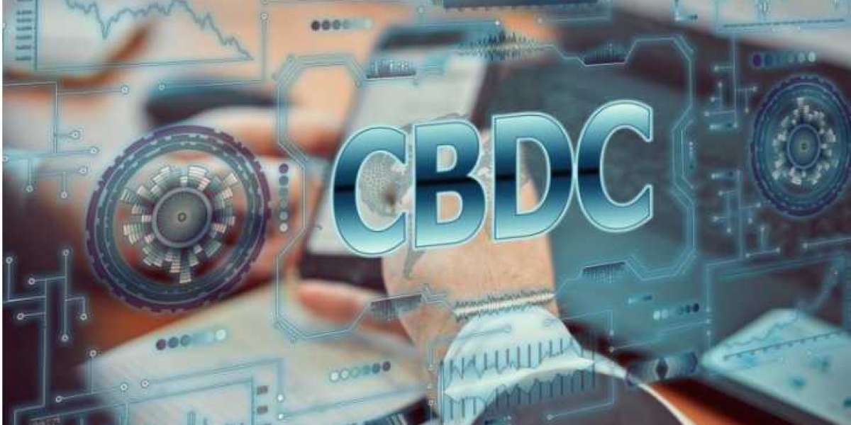 Reserve Bank Of India Gears Up To Pilot CBDC In With Fintech Firms And Banks