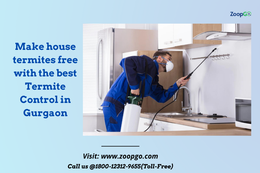 Make house termites free with the best Termite Control in Gurgaon