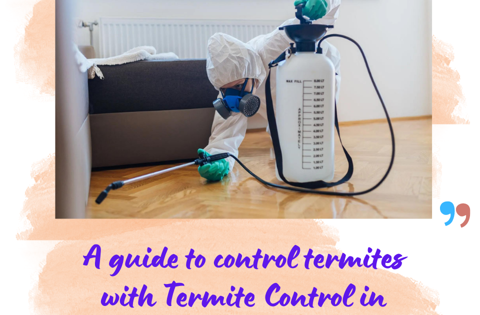 A guide to control termites with Termite Control in Faridabad