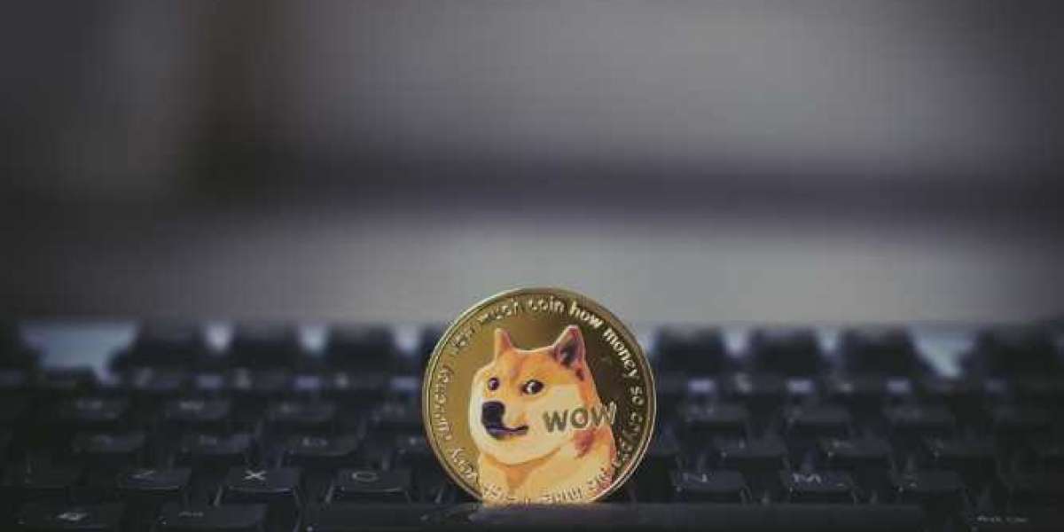 Should You Purchase Dogecoin (DOGE) Near This Price? The Unexpected Answer
