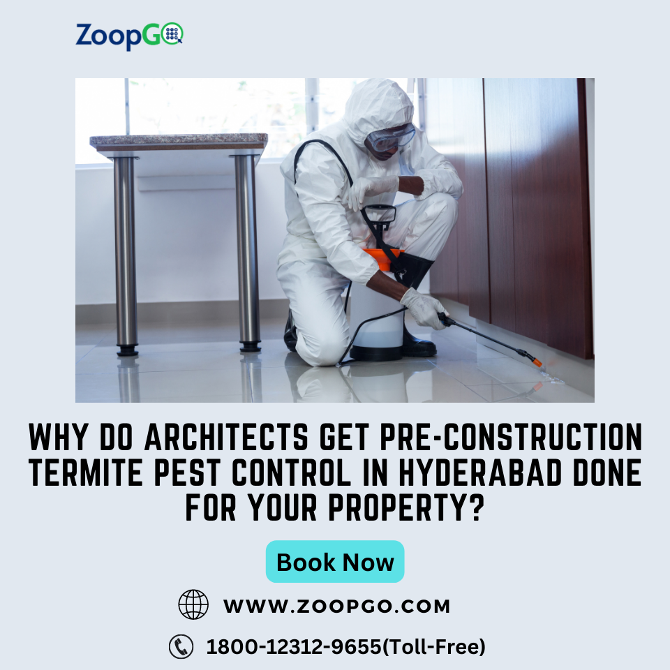 Why do architects get pre-construction termite pest control in Hyderabad done for your property? | by Jenny Kashyap | Sep, 2022 | Medium