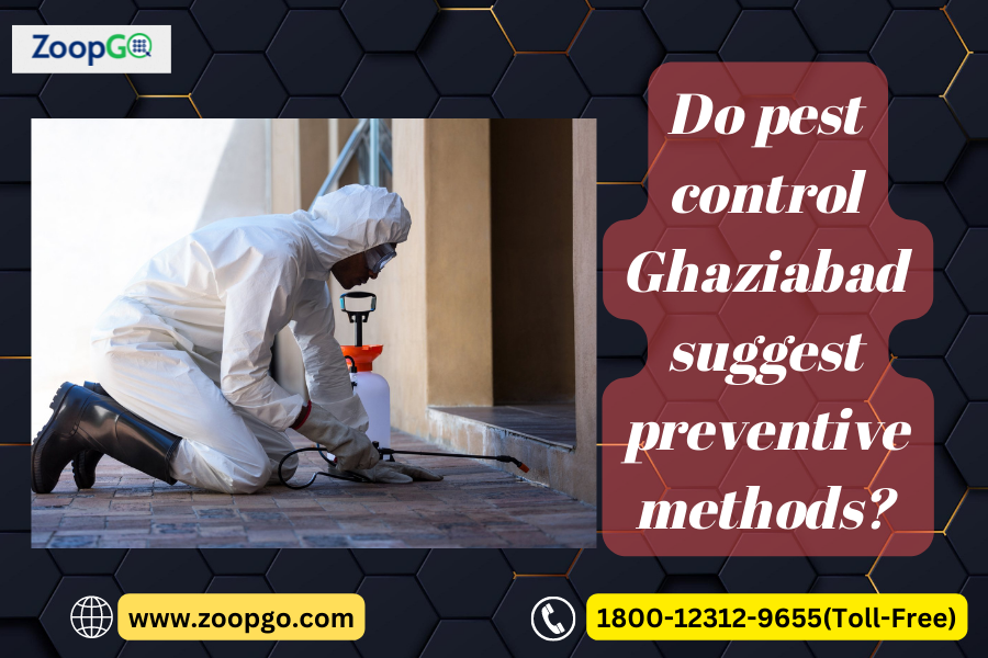 Do pest control Ghaziabad suggest preventive methods?