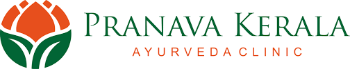 Pranava Ayurveda | Mobissue