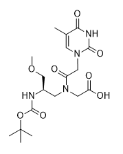 Boc-Gamma-L-Ser(Me)-PNA-T-OH - Creative Peptides