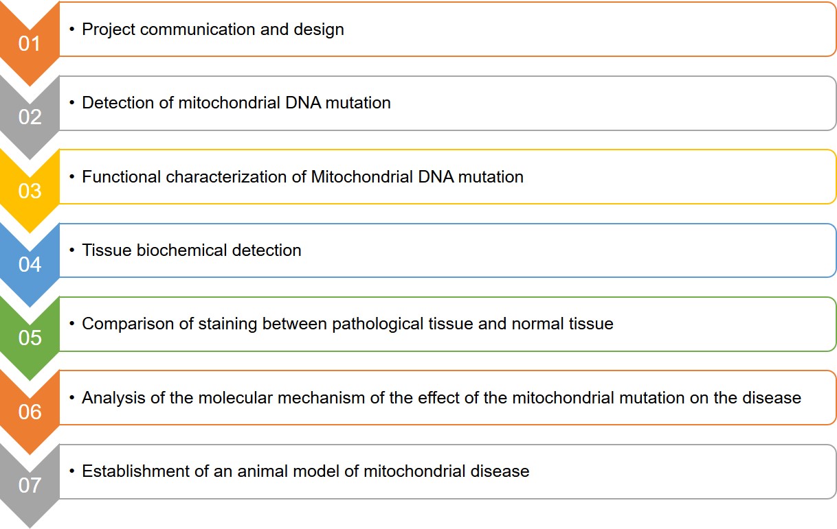 Mitochondrial Disease Association Analysis - Creative Biogene
