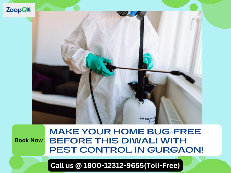 Make your home bug-free before this Diwali with pest control in Gurgaon! | by Jenny Kashyap | Oct, 2022 | Medium