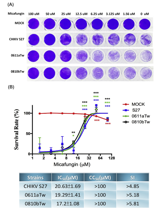 CC50/ IC50 Assay - Creative Diagnostics