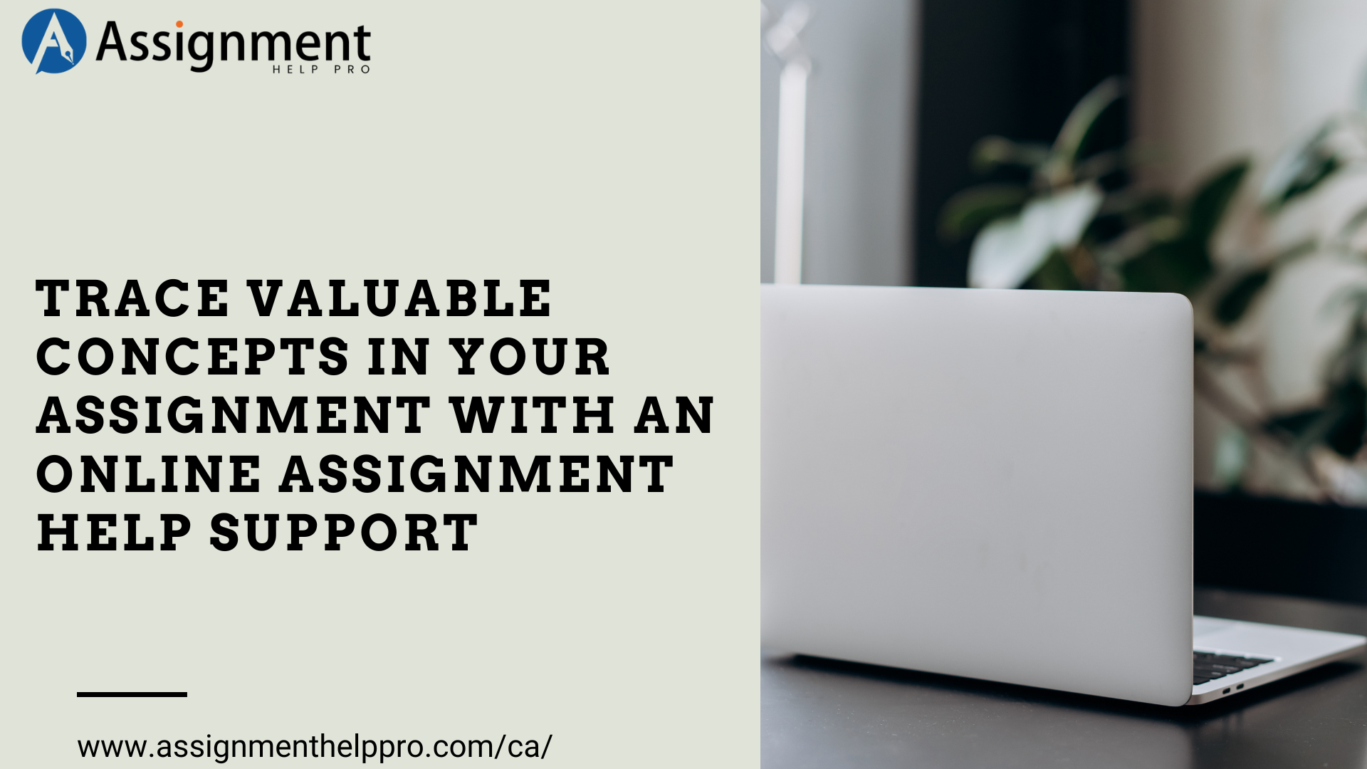 Trace valuable concepts in your assignment