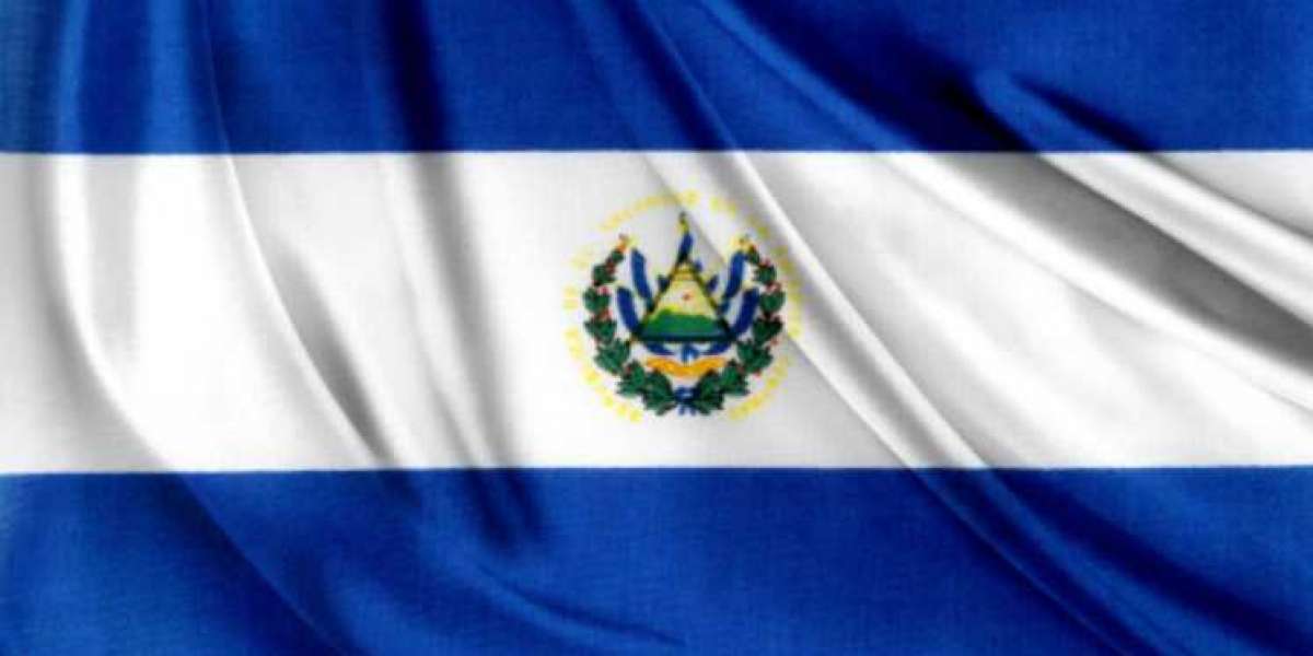 El Salvador Cannot Release BTC Purchase Data