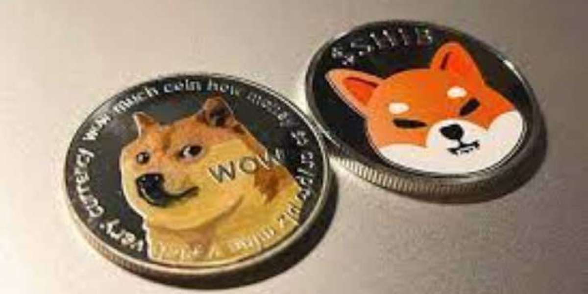 Twitter cuts cryptocurrency plans, DOGE falls