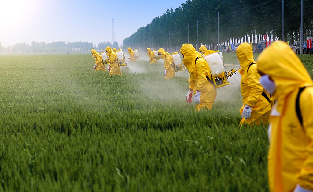 Why Shree Ram Pesticides are the Best Pesticides in the Market?