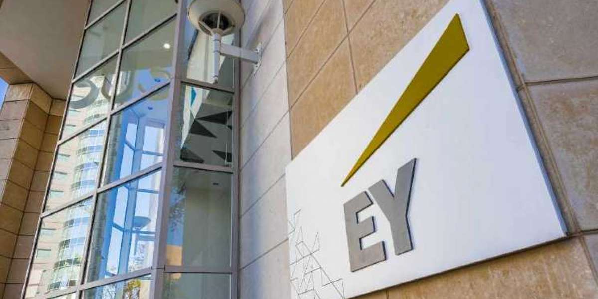 EY executive: Crypto Winter no longer affects long-term industry growth – Markets and Prices Bitcoinnews
